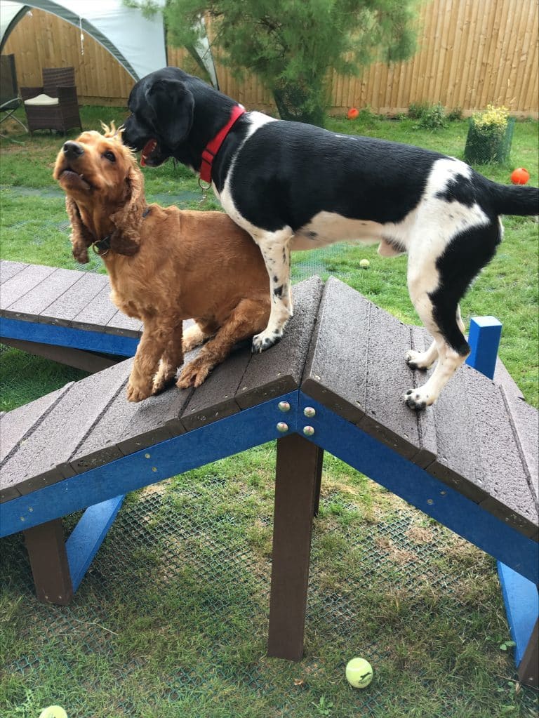 Dog Agility A Frame Ramp - Marmax Recycled Plastic Products UK