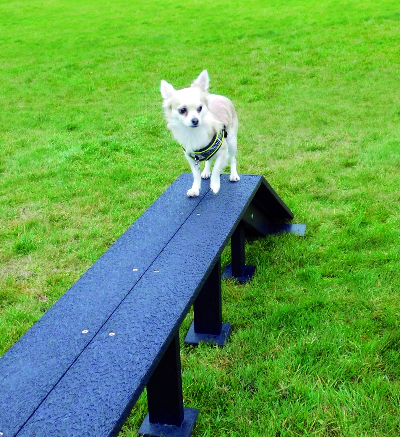 Balance Ramp Marmax Recycled Plastic Products