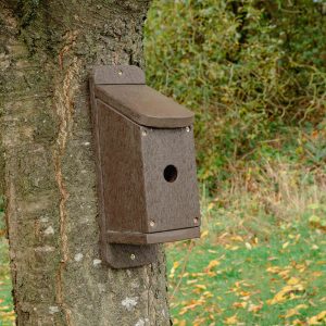 Nesting Box on tree