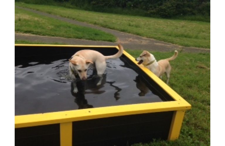 Dog Paddling Pool Marmax Recycled Plastic Products UK