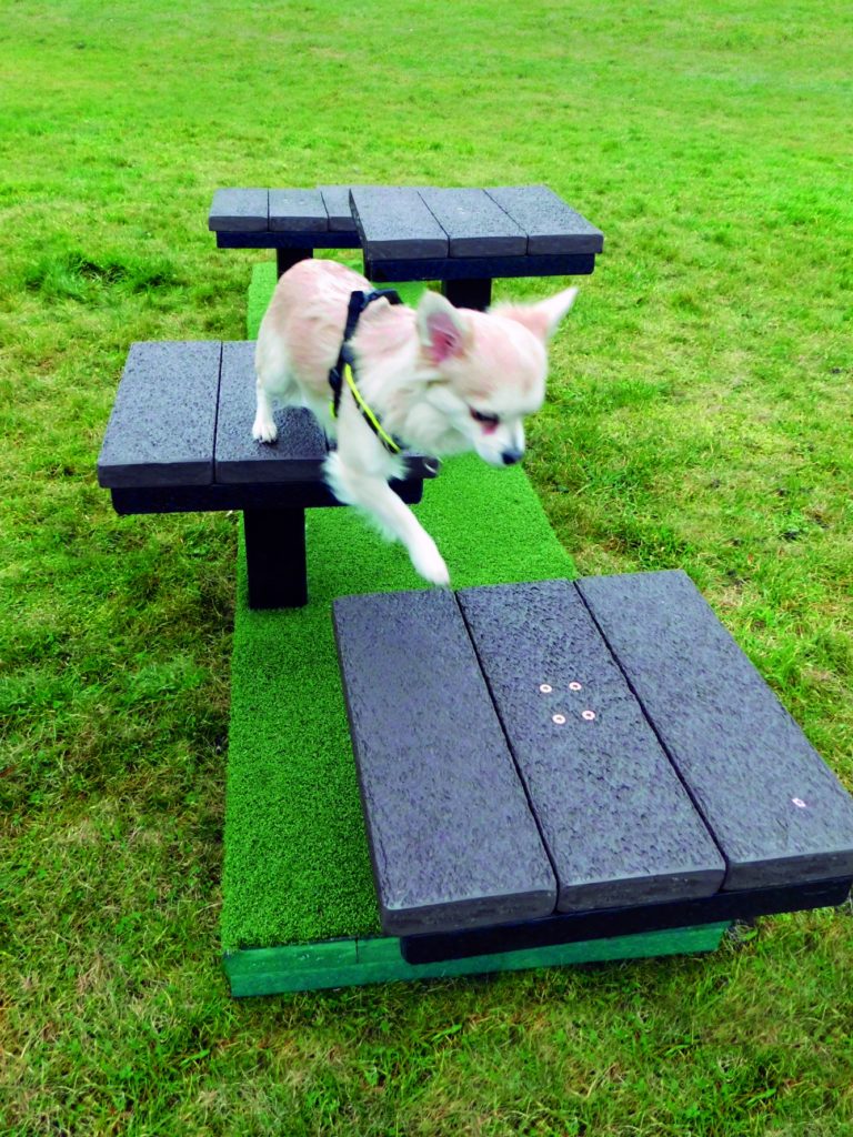 Dog Agility Platform Jumps Marmax Recycled Plastic Products UK