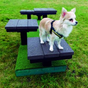 Dog Agility Platform Jumps