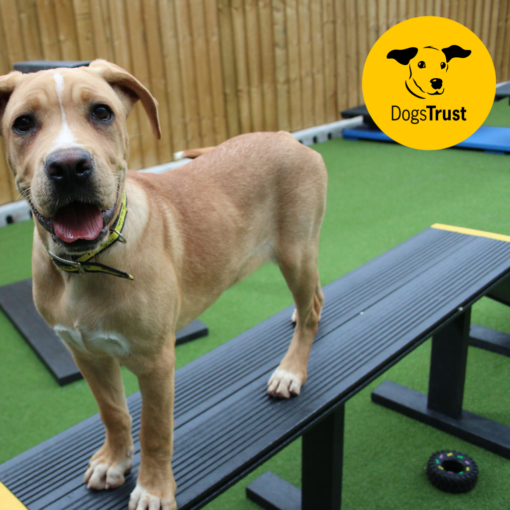 Balance Ramp - Marmax Recycled Plastic Products