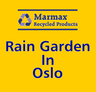 Rain Garden Blog
