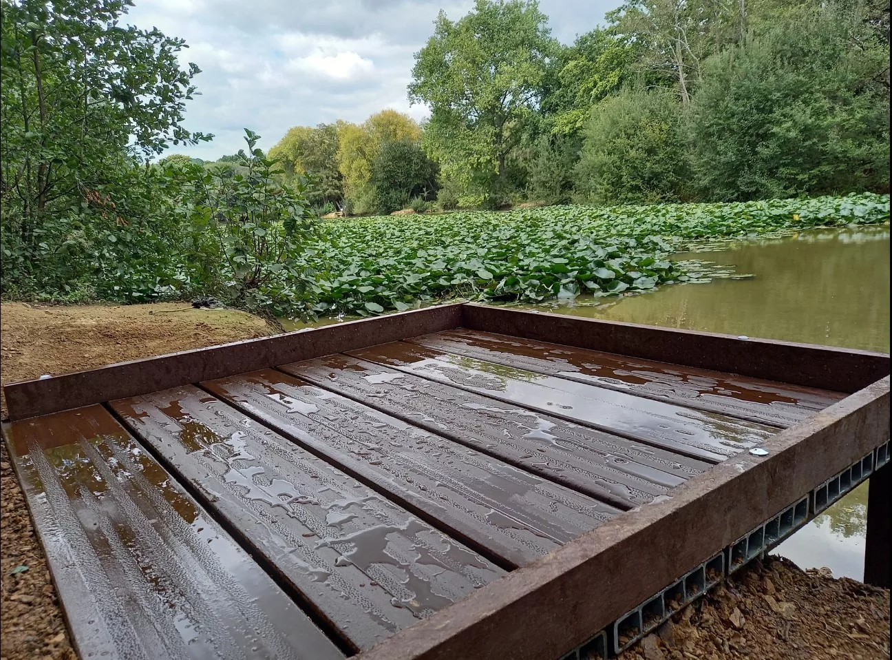 Fishing Peg - Horley