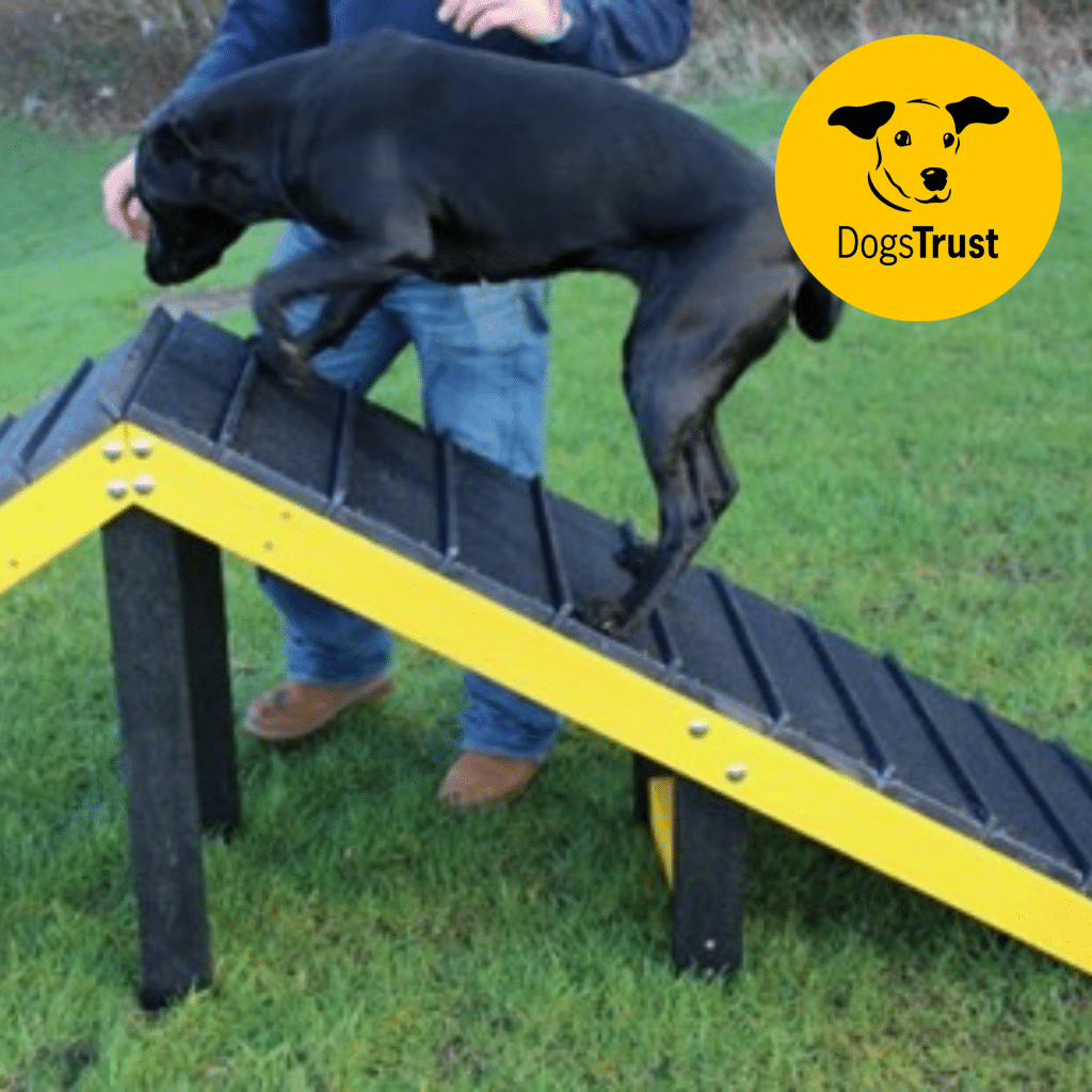 Dog Agility A Frame Ramp - Marmax Recycled Plastic Products UK