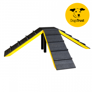 Dog Agility Spider Ramps
