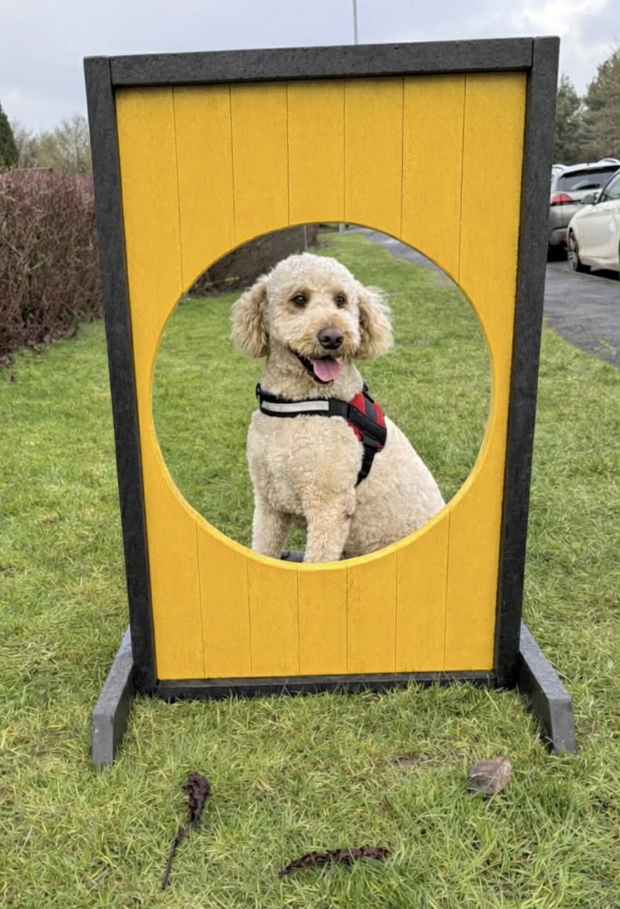 Messenger_creation_E5D53F55-877E-4F30-B8B5-DE952D58B748