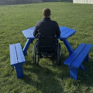 Person in a wheelchair sits at a bright blue outdoor picnic table in a grassy park, back facing the camera (outdoor setting).